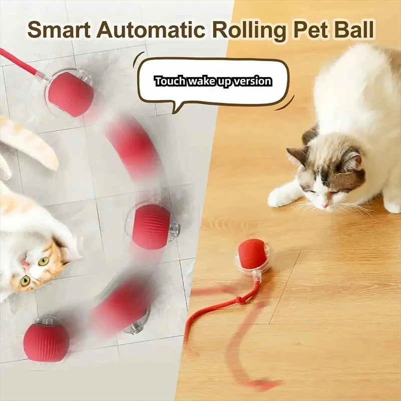 ,Automatic Rolling Cat Ball