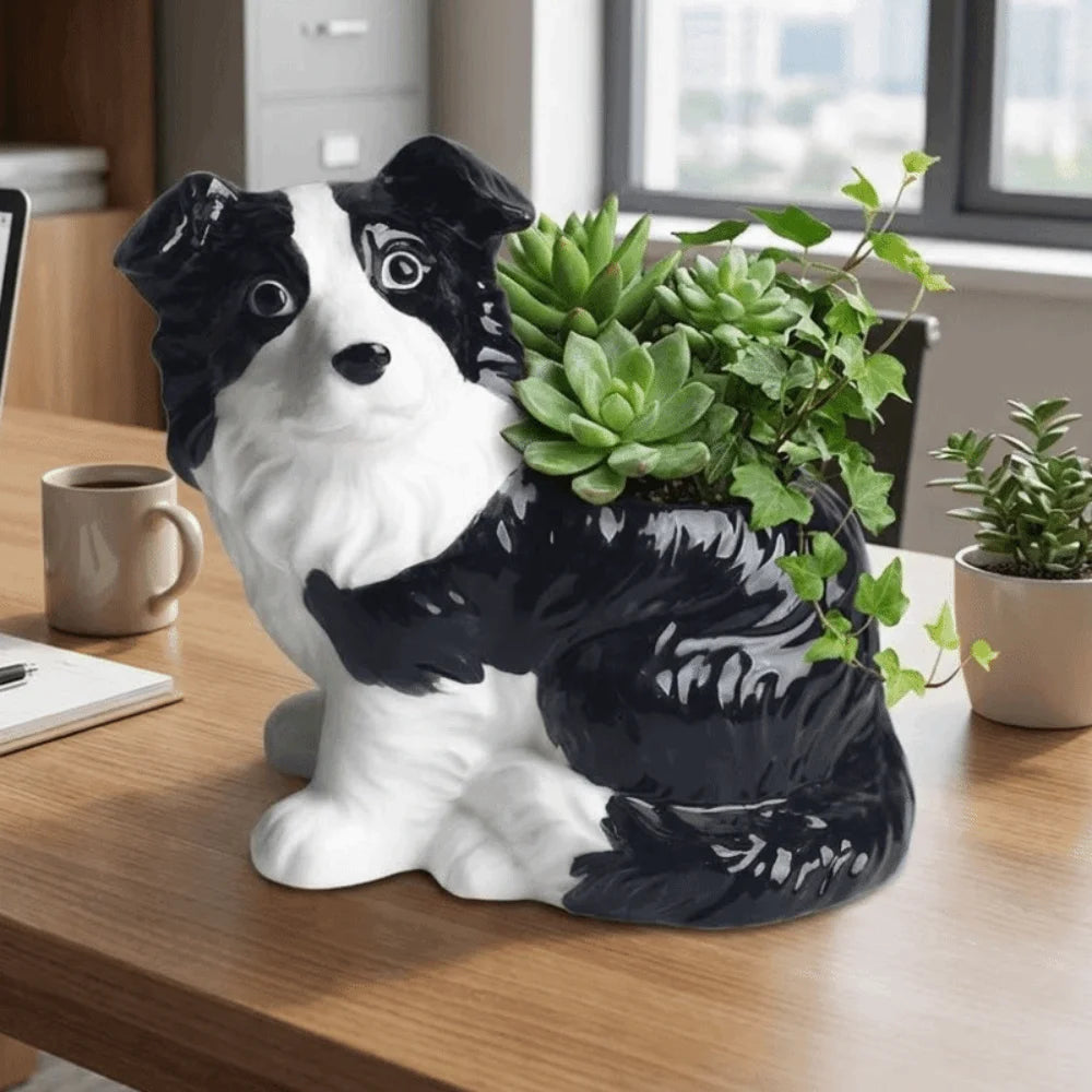 Border Collie Succulent Planter™