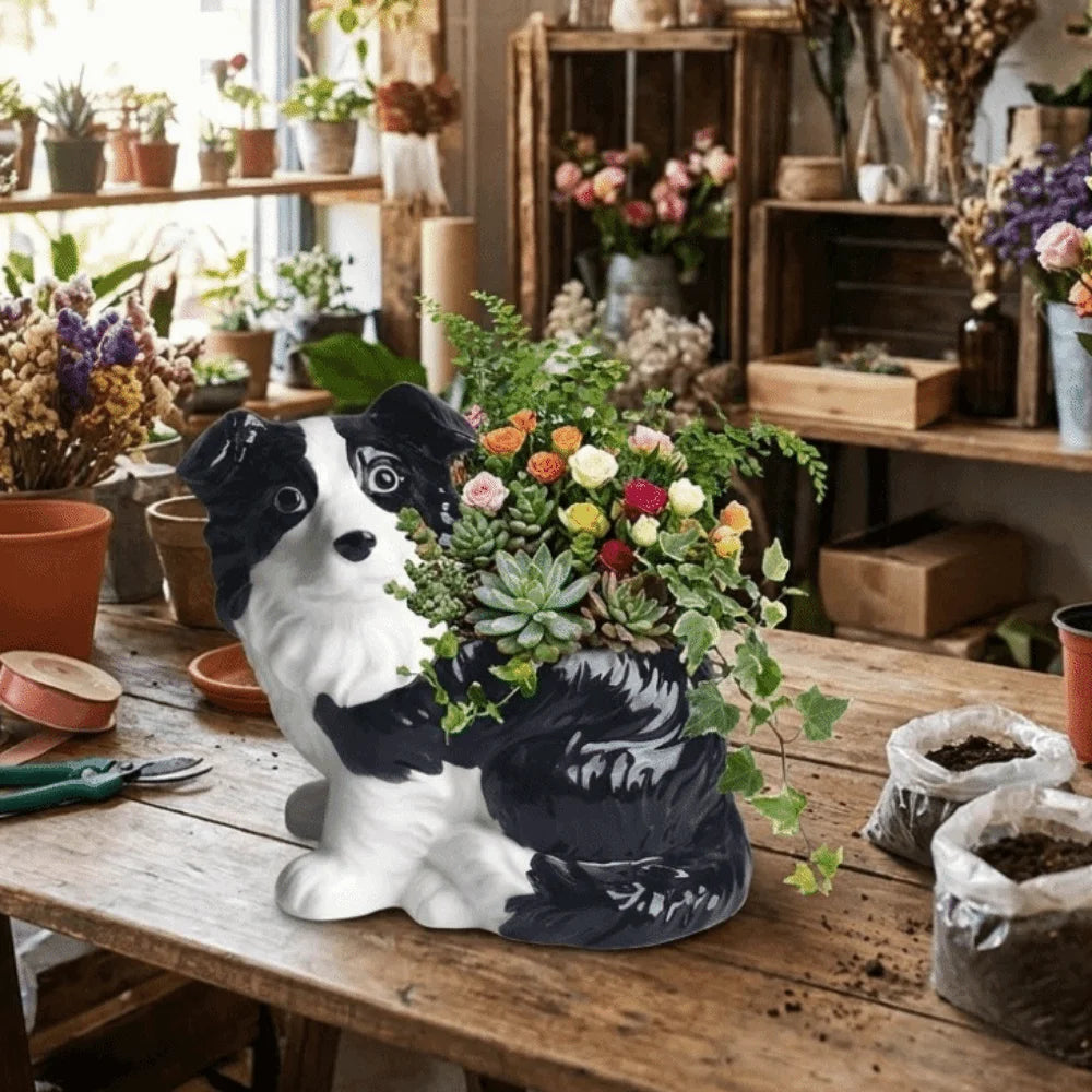 Border Collie Succulent Planter™