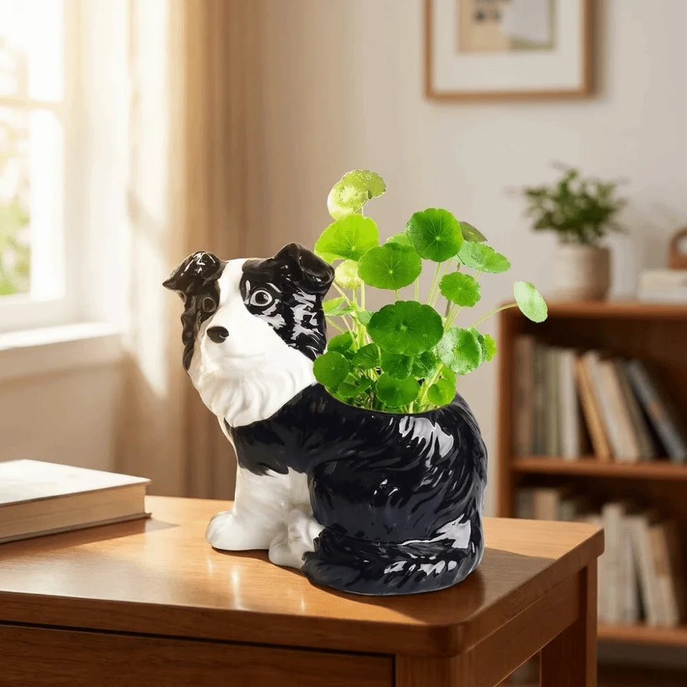 Border Collie Succulent Planter™