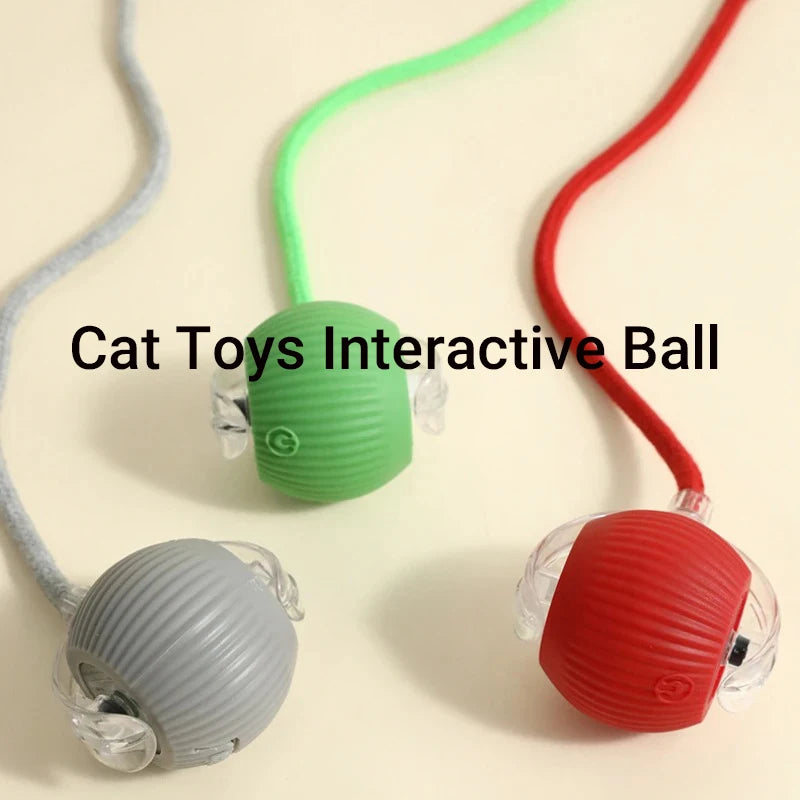 ,Automatic Rolling Cat Ball