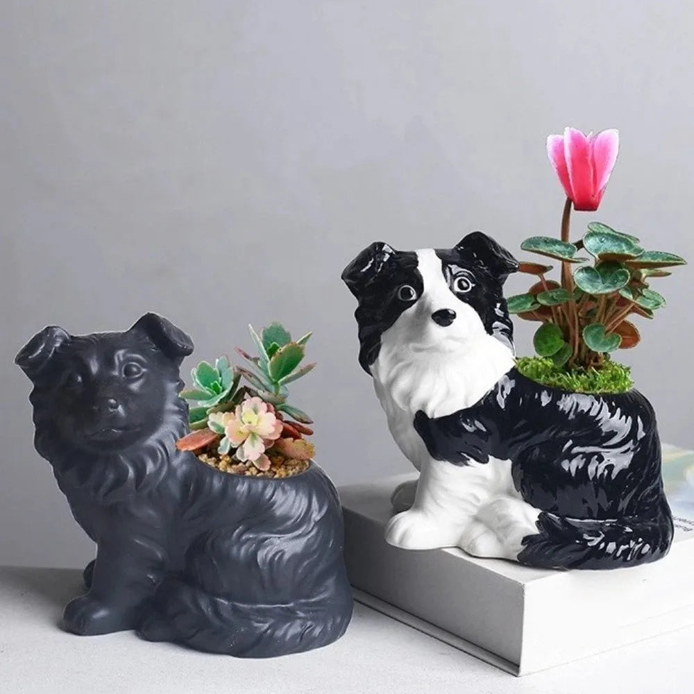 Border Collie Succulent Planter™