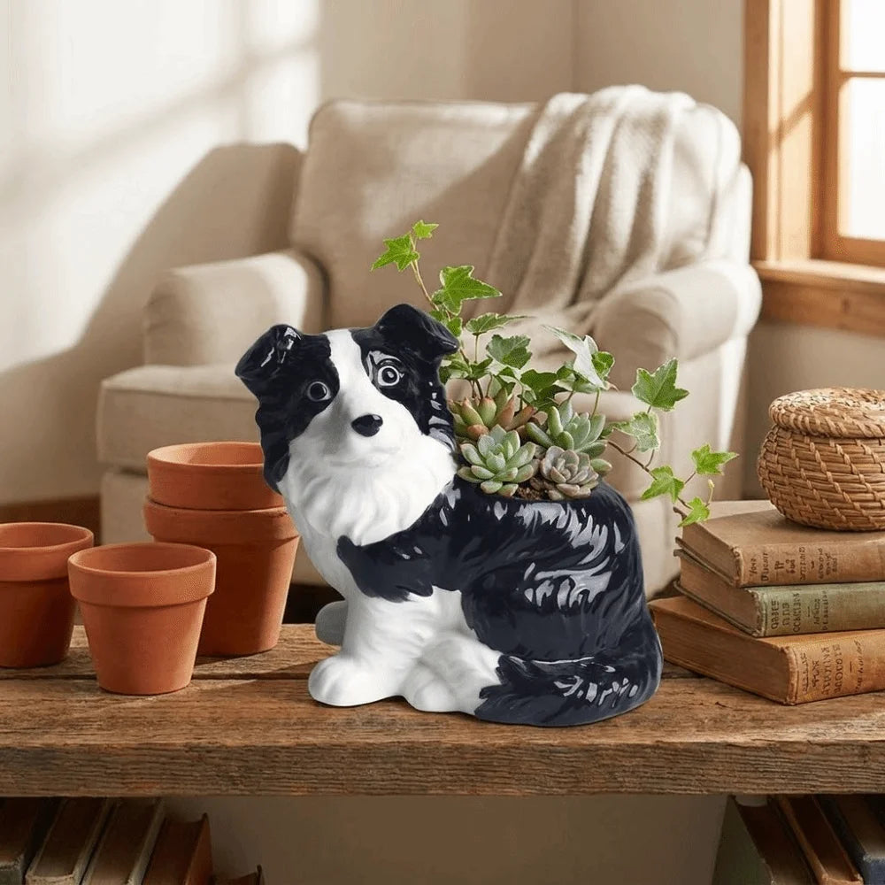 Border Collie Succulent Planter™