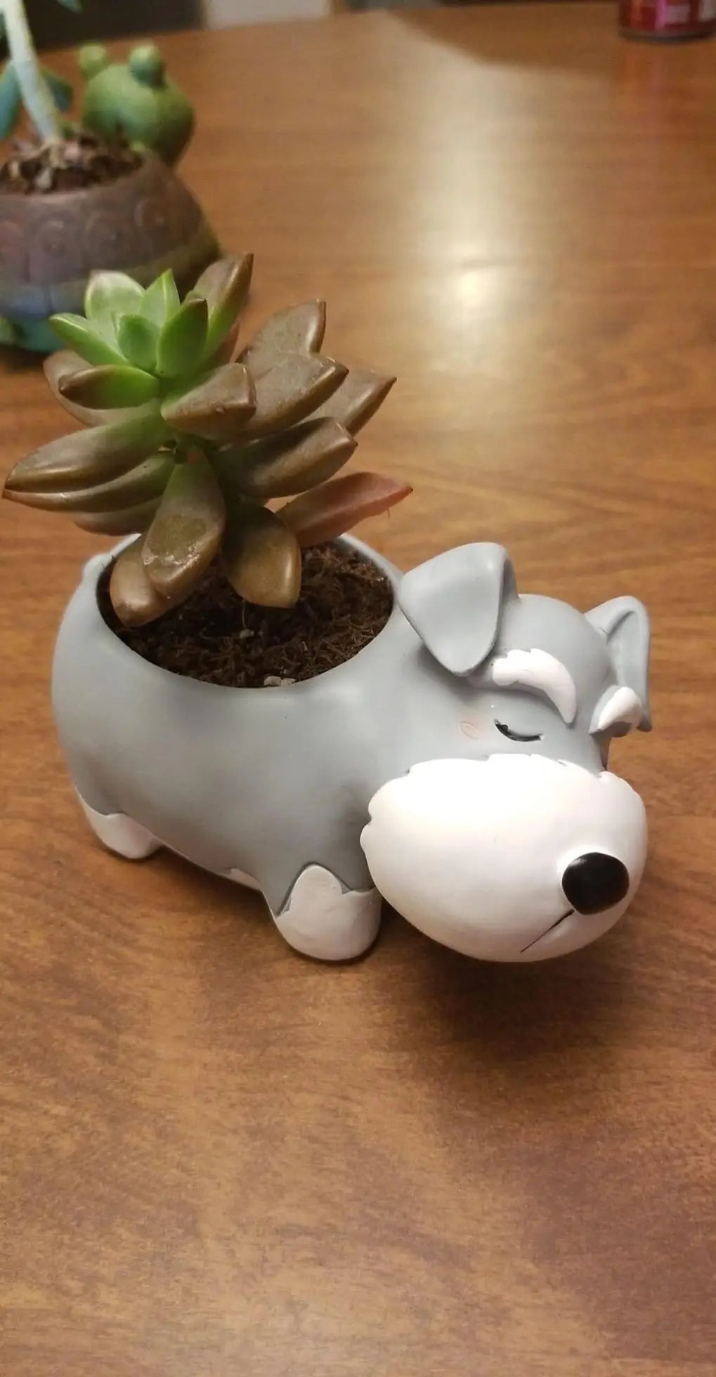 Schnauzer Planter