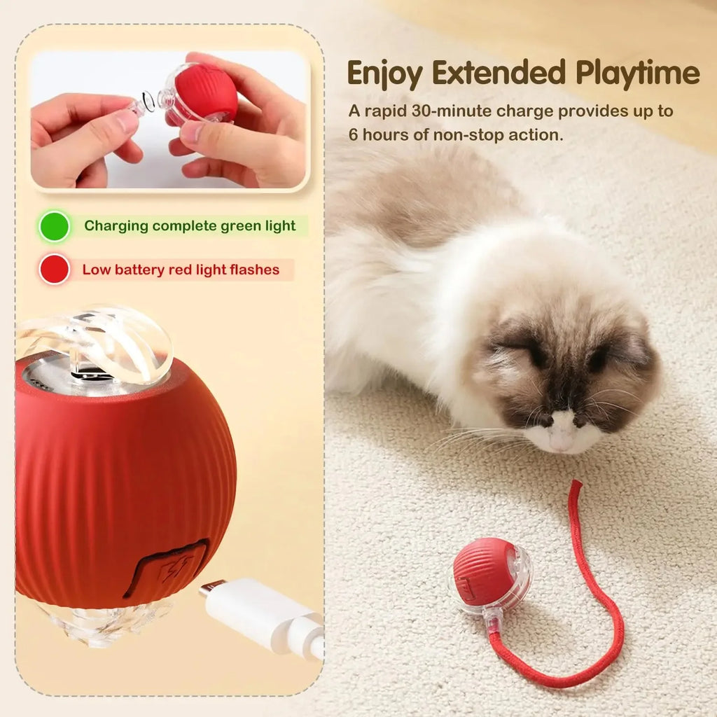 ,Automatic Rolling Cat Ball