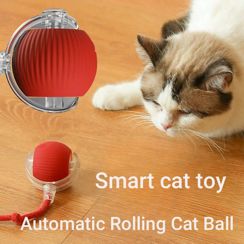 ,Automatic Rolling Cat Ball