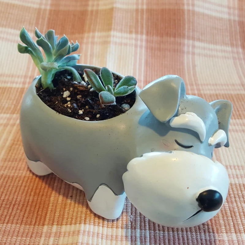 Schnauzer Planter