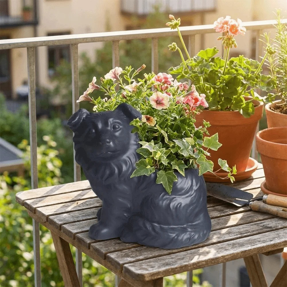 Border Collie Succulent Planter™