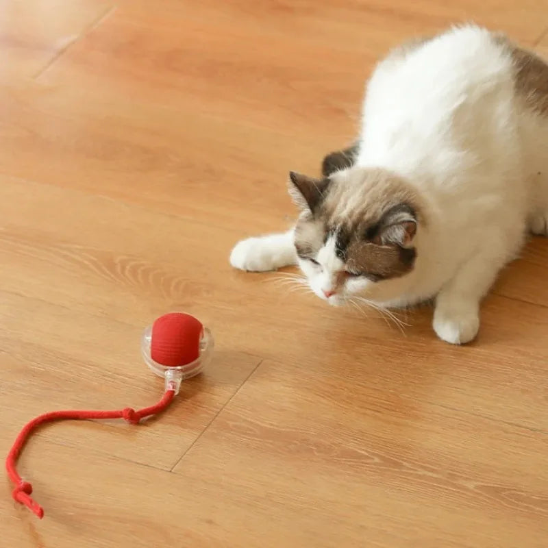 ,Automatic Rolling Cat Ball