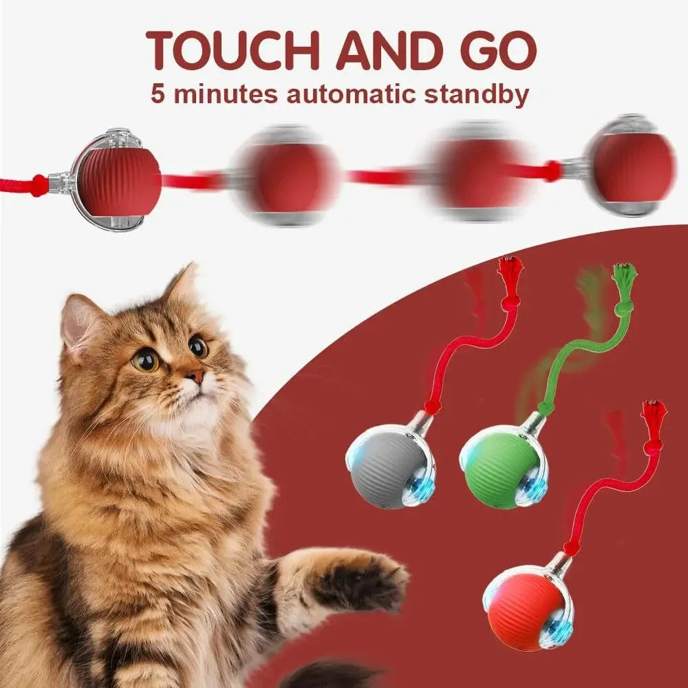 ,Automatic Rolling Cat Ball
