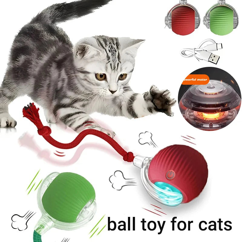 ,Automatic Rolling Cat Ball