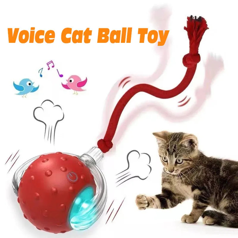 ,Automatic Rolling Cat Ball
