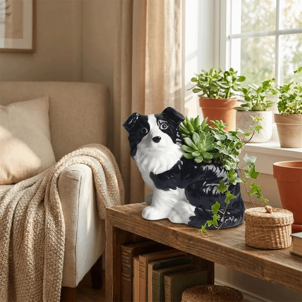 Border Collie Succulent Planter™