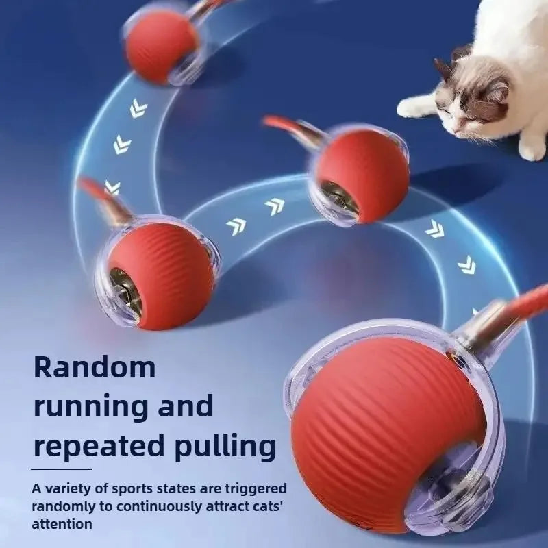 ,Automatic Rolling Cat Ball