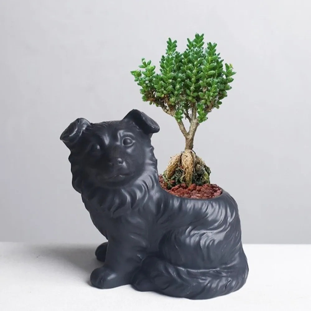 Border Collie Succulent Planter™